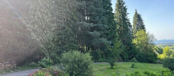 Bodea Alpenblick 