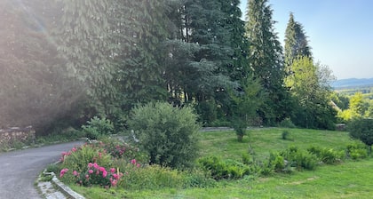 Bodea Alpenblick