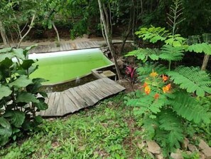A small outdoor pool surrounded by dense foliage and a wooden deck. - Cabaña Tabachín - Su conexión con la naturaleza (Oax.)