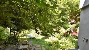 A stone patio with a metal table and chairs, surrounded by lush greenery and a tree. - La Casa del Nonno by Interhome (Valtellina)
