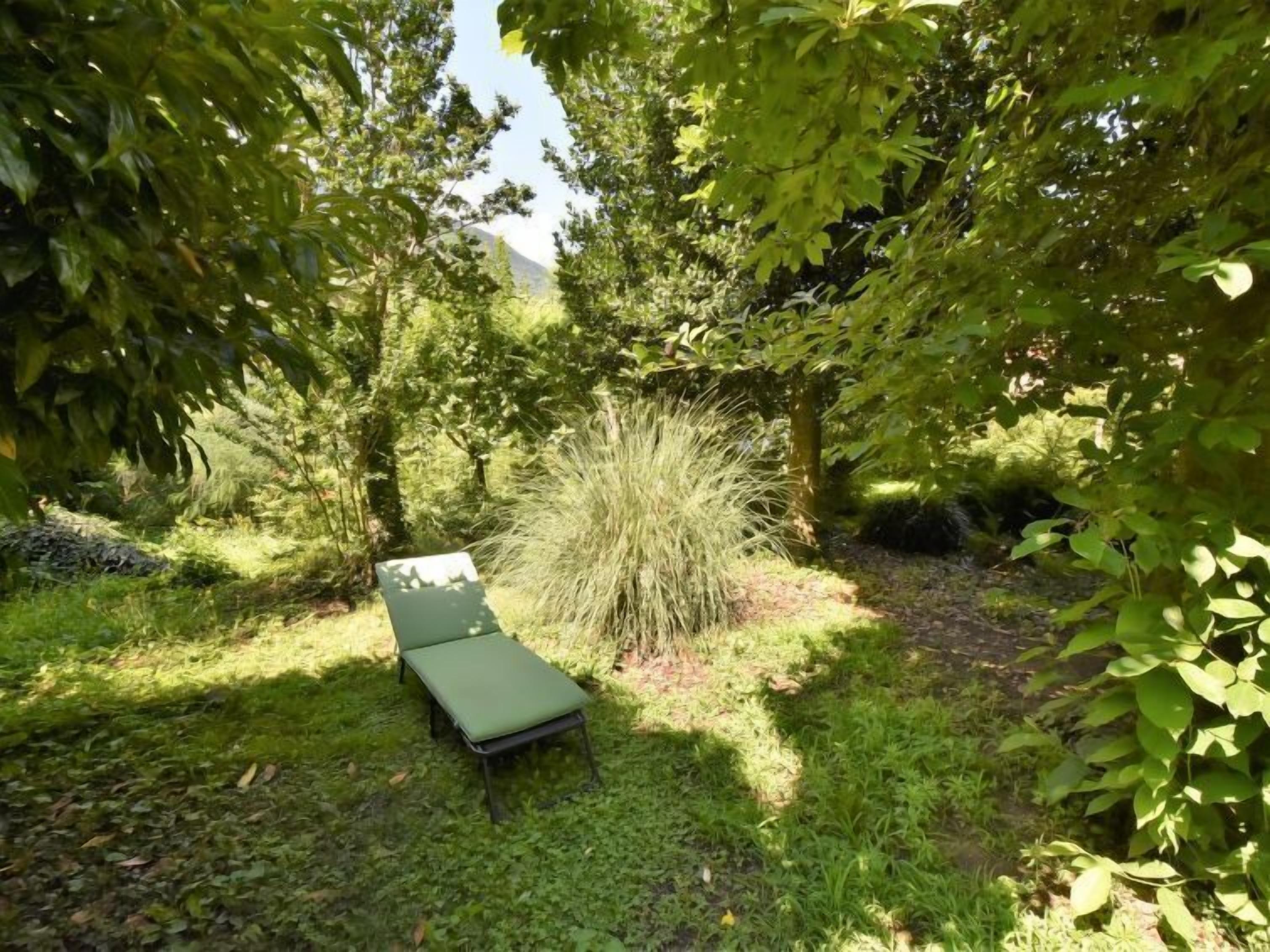 Una cadira verda en una zona ombrejada del jardí, amb vegetació abundant i un arbust petit.
