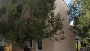 Un edificio de fachada color beige, con un árbol y un cactus en primer plano.
