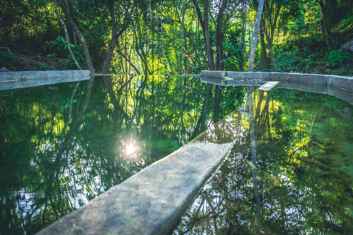 Ein ruhiger Pool im Freien mit Betonrand, umgeben von dichtem Grün und Bäumen.