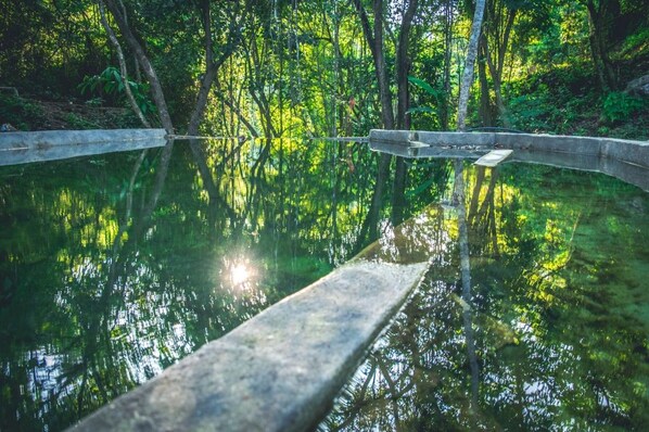 Una piscina tranquila al aire libre con borde de hormigón, rodeada de abundante vegetación y árboles.