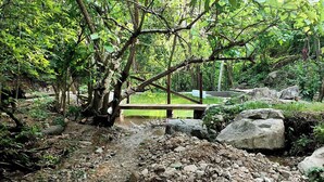 A natural outdoor area with a wooden bridge, rocks, and greenery.