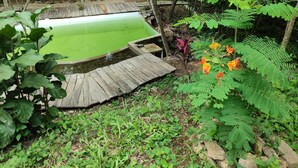 A wooden deck with a small pond, surrounded by lush greenery and ferns.