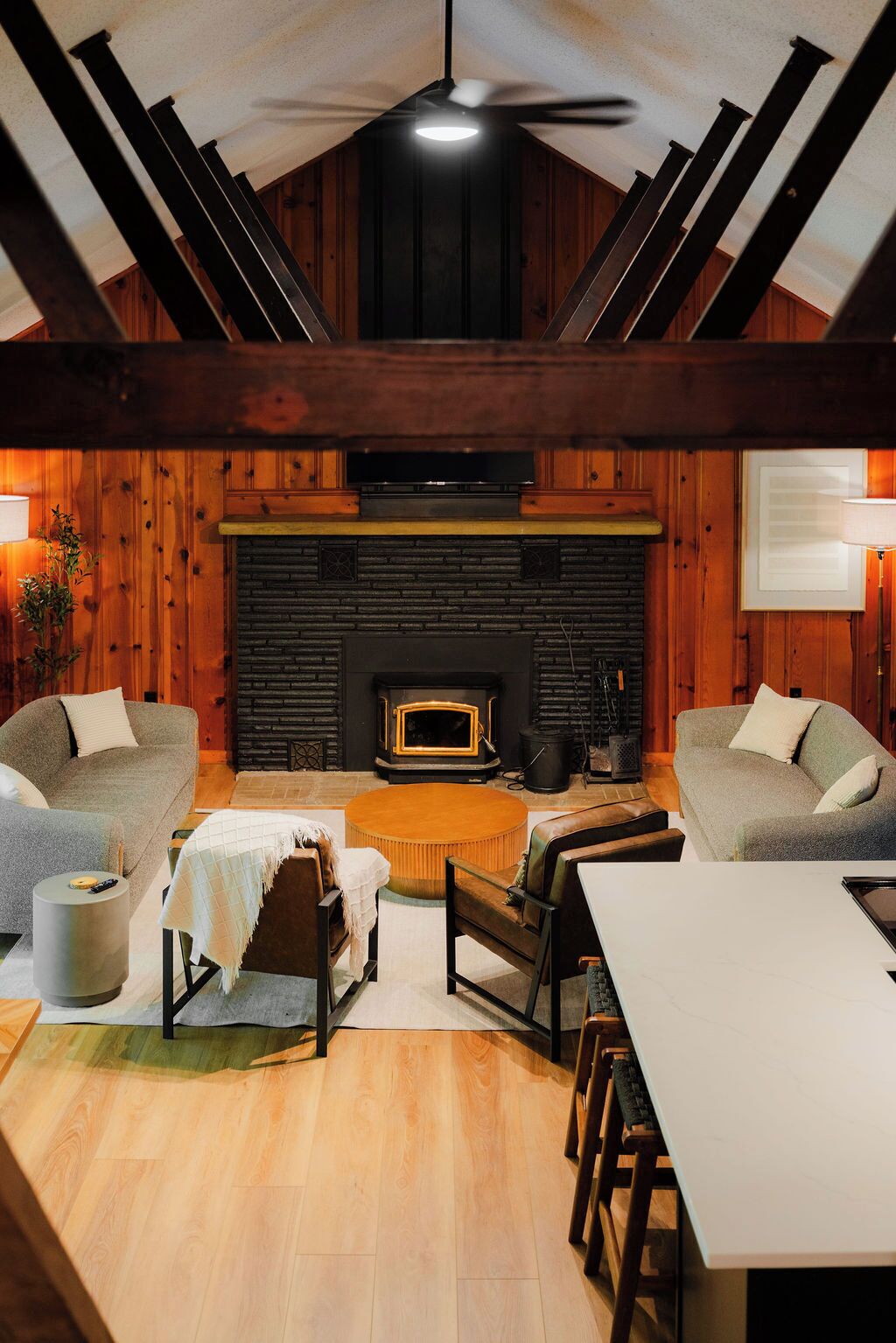 TV, fireplace