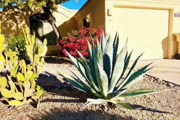 DĂ©tail de lâextĂ©rieur