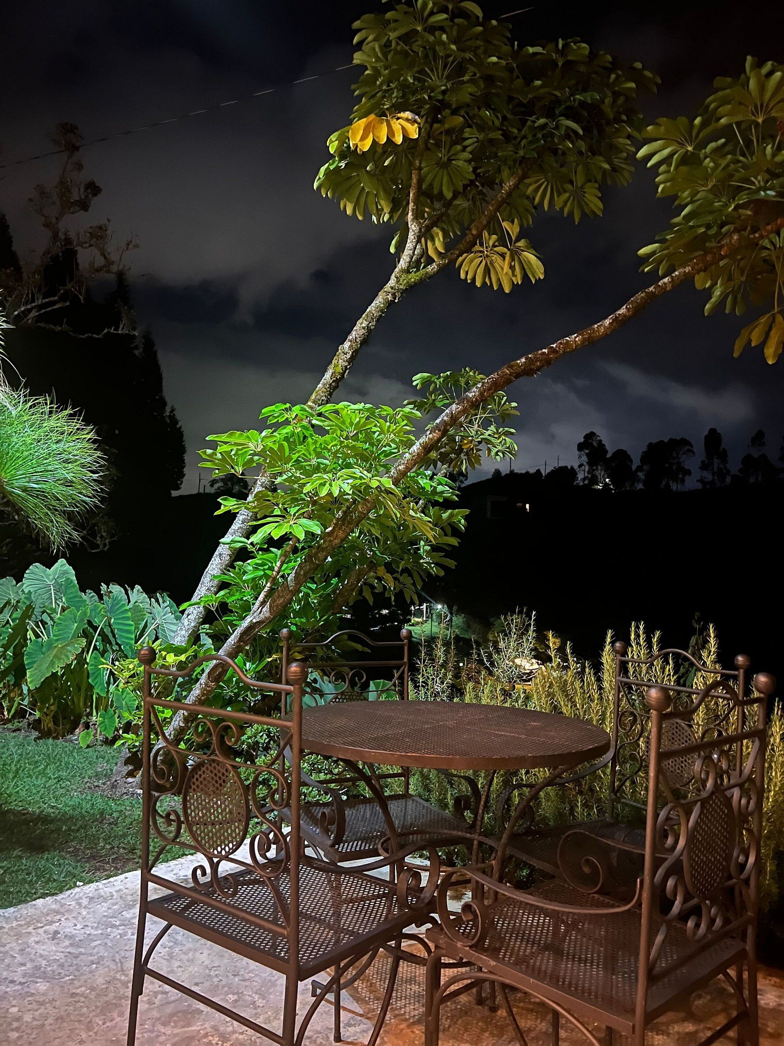 An outdoor seating area with metal chairs and a table, surrounded by lush greenery and a backdrop of trees.