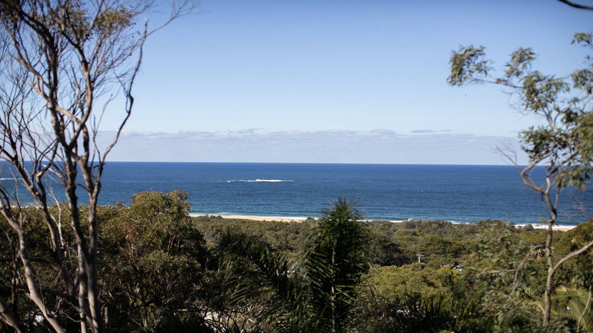 Eine Küstenlandschaft mit Strand, Meer und dichter Vegetation.