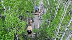 A treehouse cabin surrounded by birch trees, with a wooden deck and a large cylindrical structure nearby.