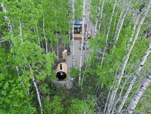 A cabin surrounded by birch trees, with a wooden deck and a large cylindrical structure in the foreground.