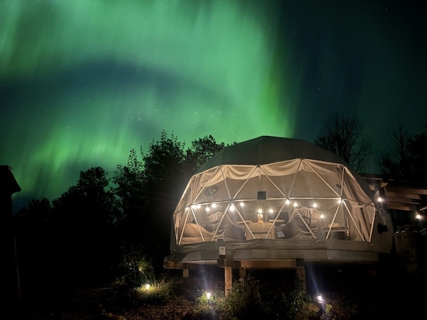 A geodesic dome tent with a central light source, surrounded by trees, under a night sky with green aurora.