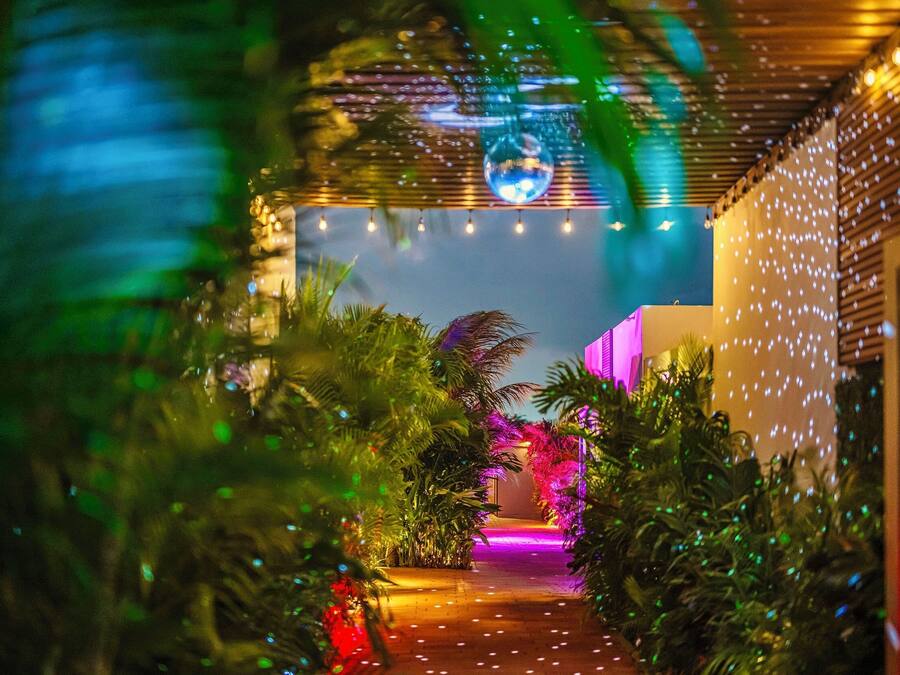 A pathway with plants and string lights leading to a brightly lit area.