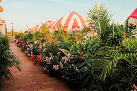 Pasillo. Privada Stays - Private Pools & Colorful-Chic Boutique Hotel