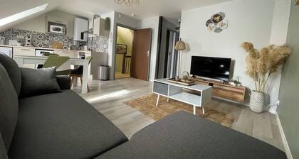 T2 REFAIT Ă NEUF PLEIN CĆUR DE VILLE DE RODEZ