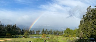 Otter Lake B&B, Denman Island, BC, Canada
family friendly, coastal