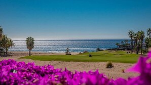 A coastal golf course with a clear view of the ocean, surrounded by palm trees and vibrant purple flowers.