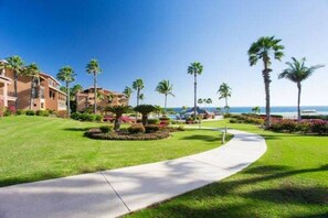 Enjoy beachfront access and serene tropical surroundings.