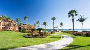 Ein Resort mit gepflastertem Weg, Palmen und Blick auf das Meer.