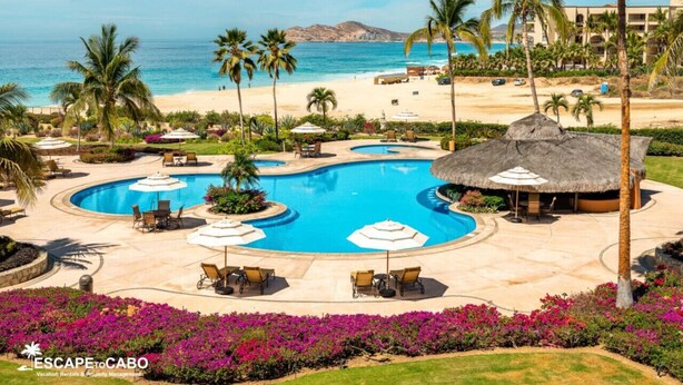Un complexe hôtelier doté d’une grande piscine, de chaises longues et de palmiers.