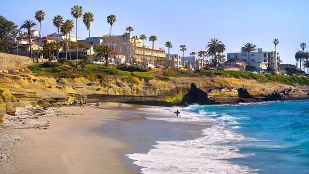 A coastal beach with rocky terrain and palm trees. - The Medallion Modern City 7bed/5bath 20+ Views/AC (San Diego)