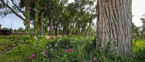 Terrein van de accommodatie