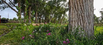 New modern farm house on the Still Water Ranch.