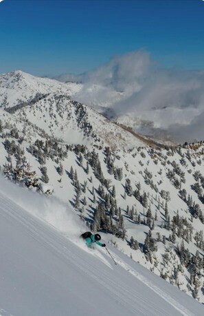Wintersport/Ski