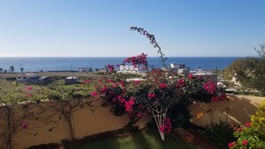 Unclassified image, 5 of 49, button - Modern Ranch with a Beautiful Ocean View! & a Gated Community with safe parking! (Rosarito)