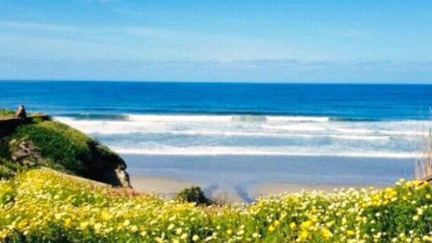 Unclassified image, 1 of 49, button - Modern Ranch with a Beautiful Ocean View! & a Gated Community with safe parking! (Rosarito)