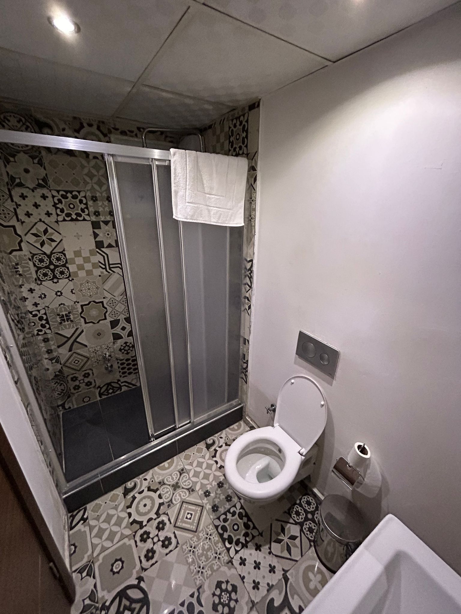 A bathroom with a shower, toilet, and patterned tiles.