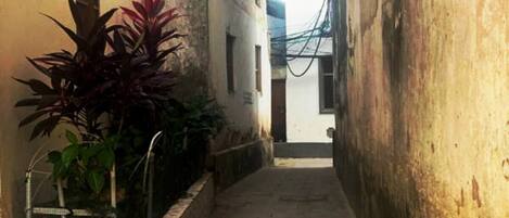 Enceinte de l’hébergement