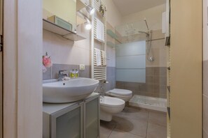 Shower, hair dryer, bidet, towels