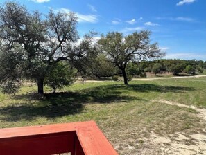 Property grounds - Tranquil Hill Country Cabin near Pedernales Falls (Dripping Springs)
