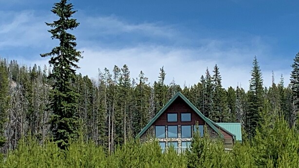 Een chalet met een groen dak, omgeven door dicht bos.