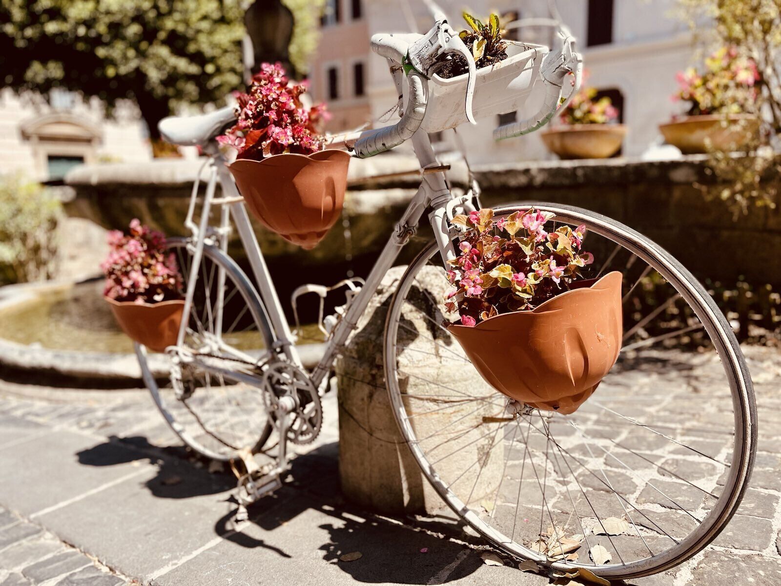 A bicycle with two flower pots attached to the front, parked on a cobblestone path.