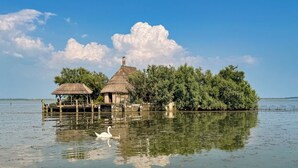 A thatched-roof structure with a water body in the foreground and a forested area in the background.