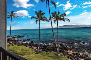 A view of the ocean with palm trees and rocky shoreline. - Private, spacious lanai with oceanfront views (Lahaina)