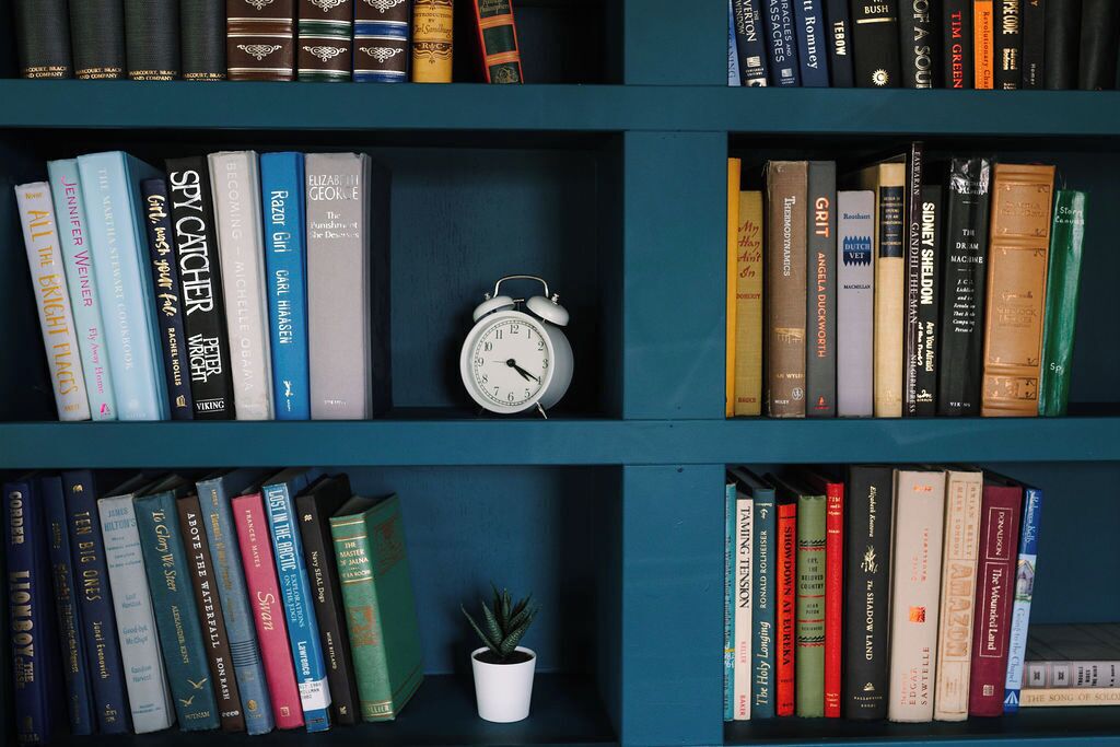 Una estantería con varios libros, una pequeña planta en maceta y un despertador.