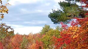 A calm lake reflecting colorful autumn trees.
