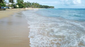 A beach with clear water, sandy shore, and palm trees. -  10 min from the beach!Romantic Spanish apto w/Infinity Pool. (Las Terrenas)