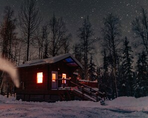 Exterior - Cozy pet friendly cabin with stand alone sauna near Willow and Talkeetna Alaska (Willow)