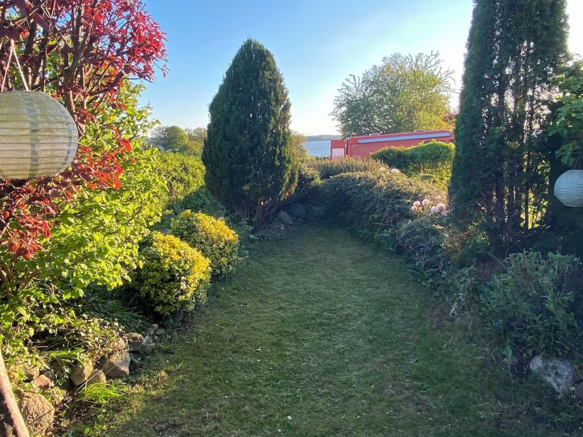 Un sentiero in giardino, siepi, un albero alto e un edificio sullo sfondo.