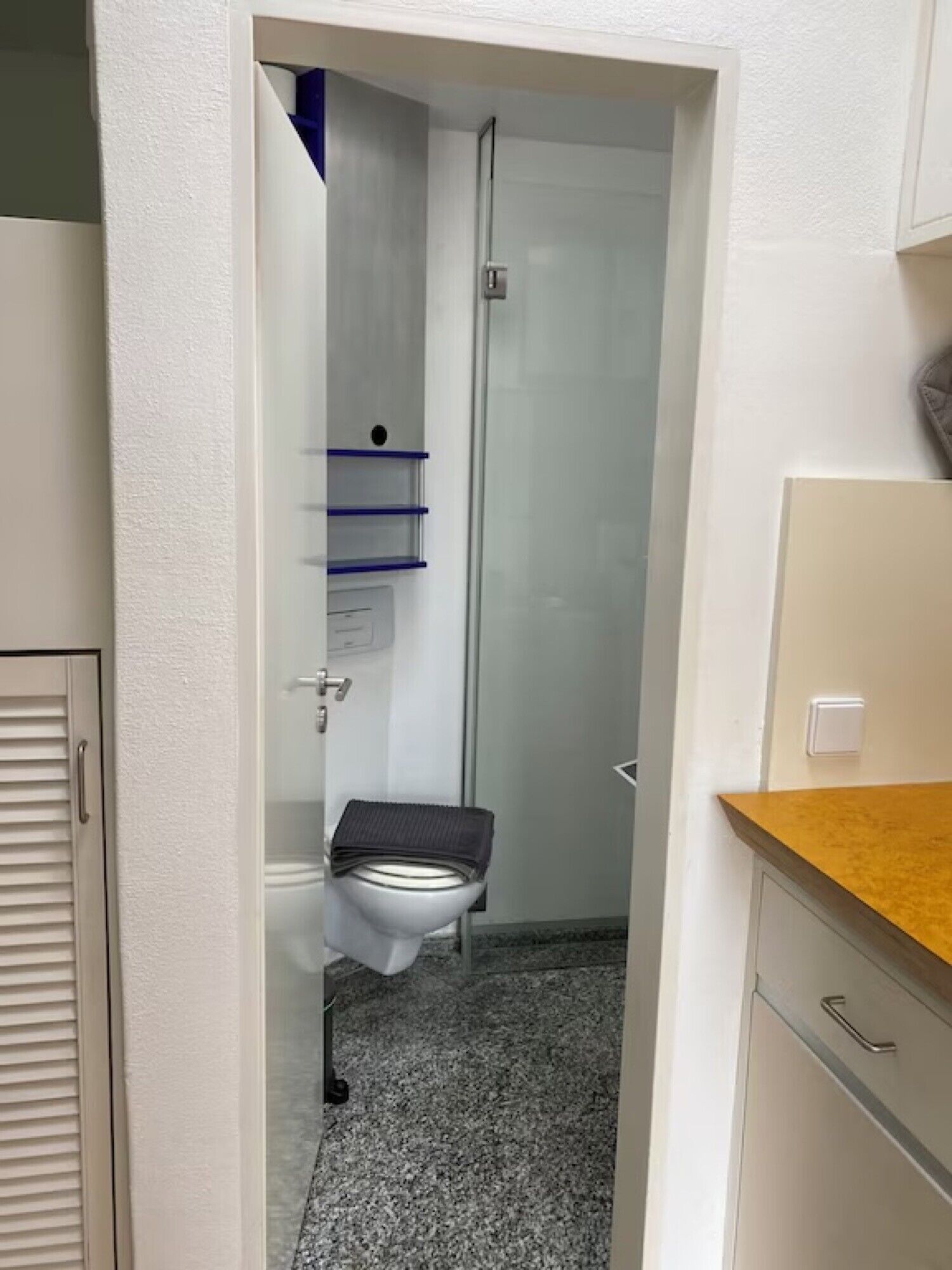 Ein Badezimmer mit Toilette, Dusche, Handtuchhalter und Stauraumschrank.