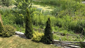 A residential area with a pond, greenery, and houses in the background. - Studio unit with one bedroom double bed and one sofa bed (Kitchener)