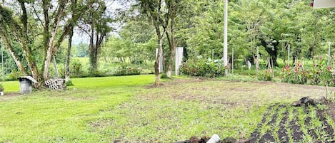 Jardin