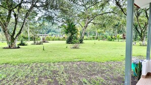 A garden with a wooden deck, surrounded by trees and a grassy lawn.