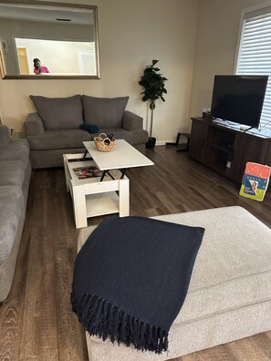 Smart TV, fireplace, books