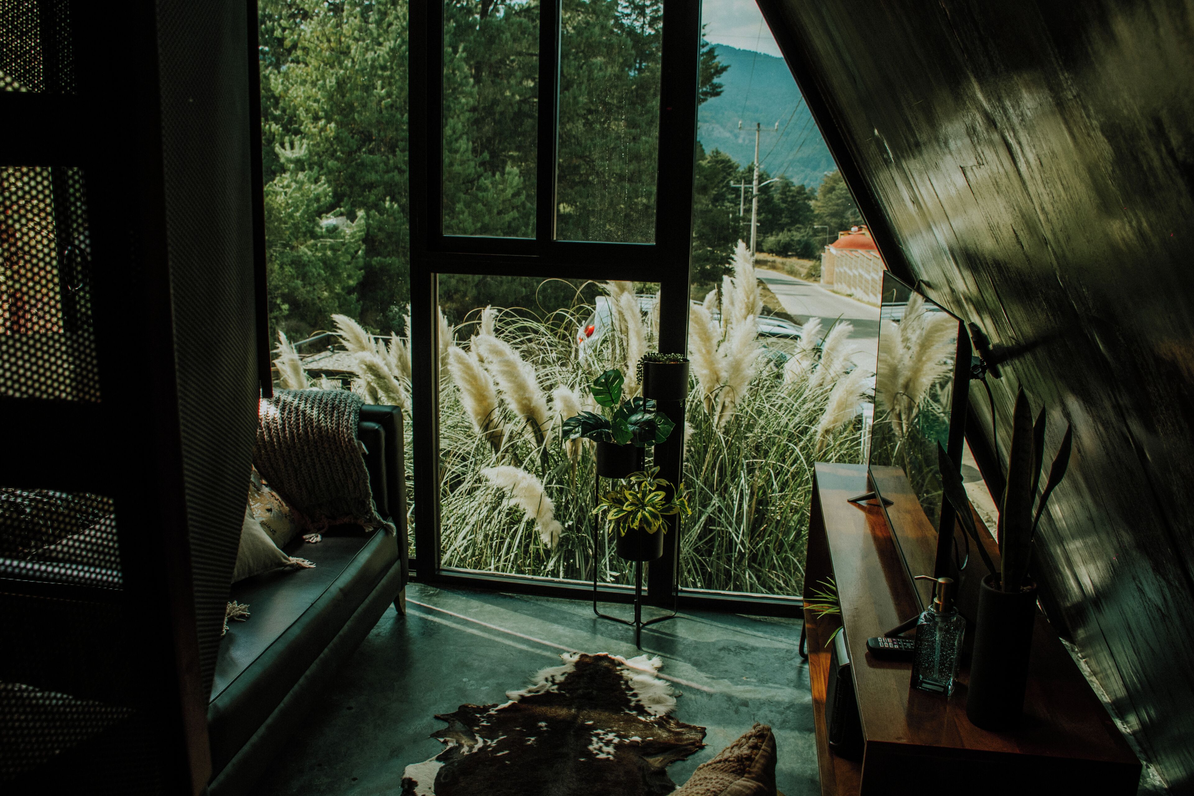 Estudio | Vistas desde la habitación